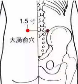 大肠俞穴.jpg