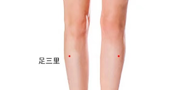 足三里.png