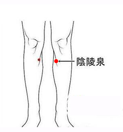 阴陵泉穴.jpg